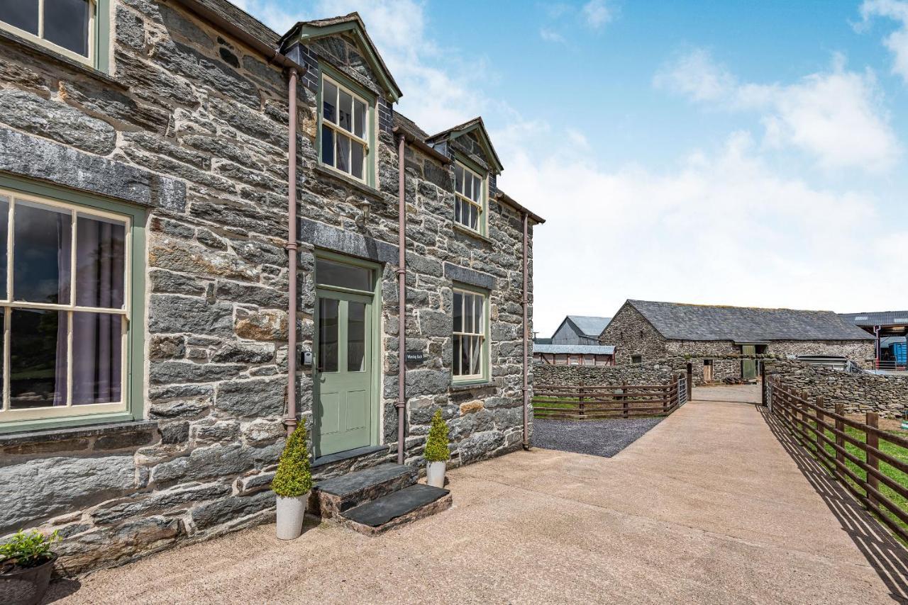 Waedog Bach Llanfor