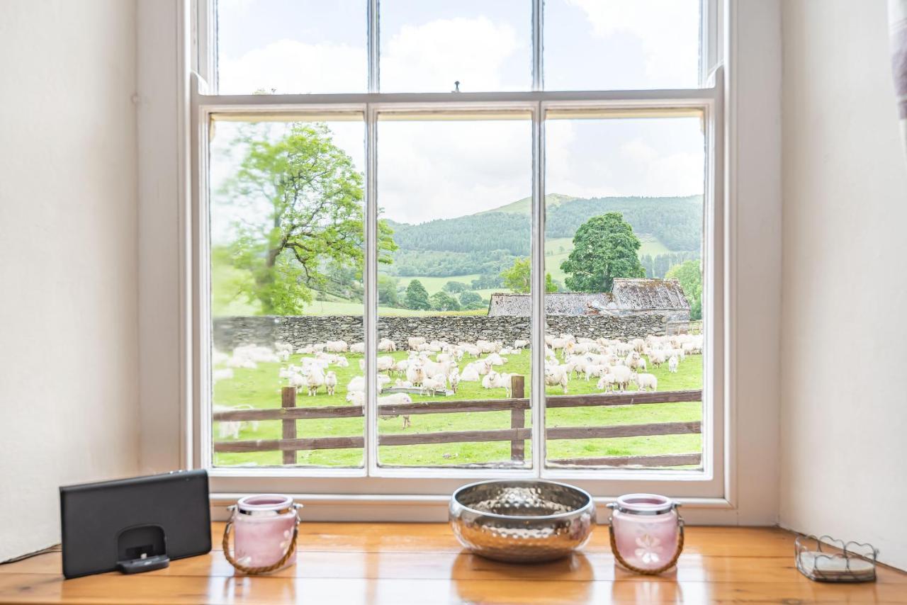 Waedog Bach Llanfor