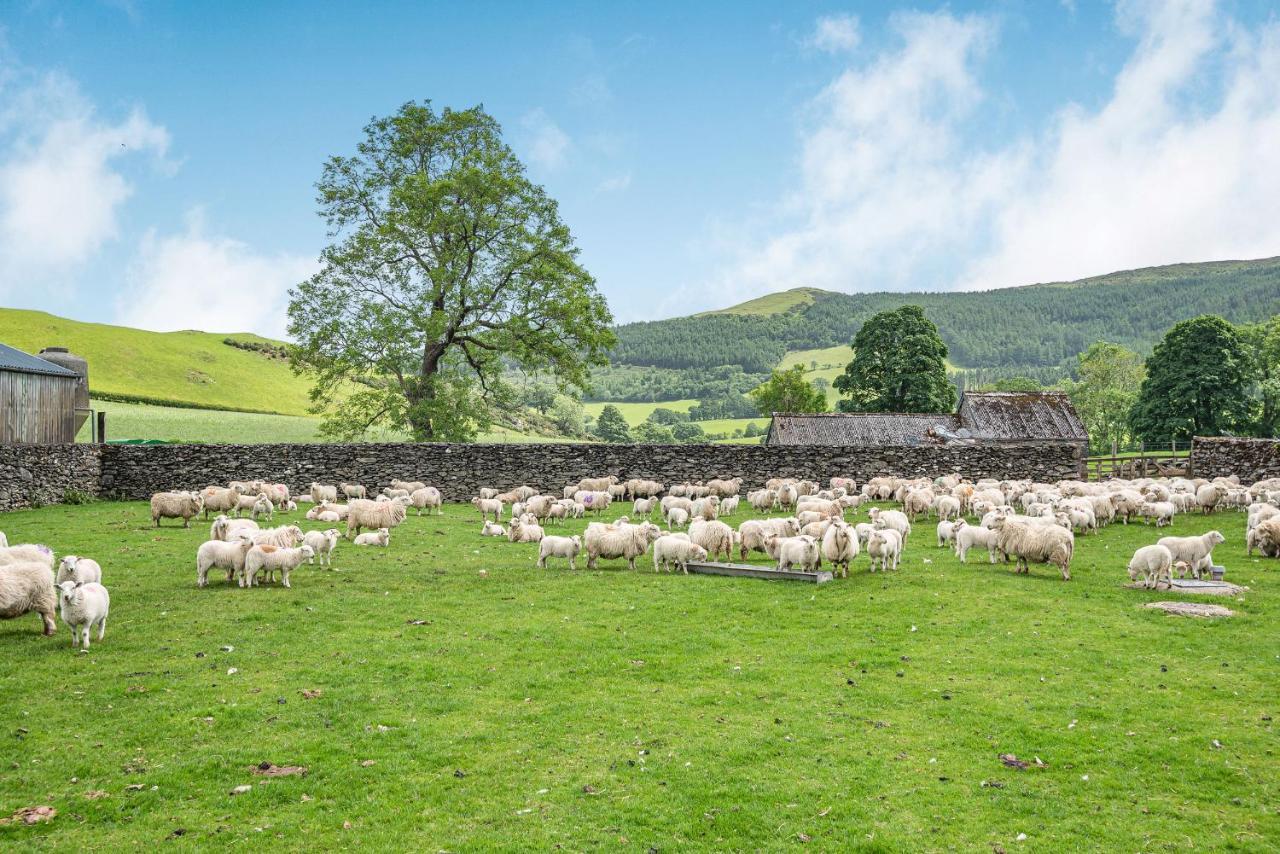 Holiday home Waedog Bach Llanfor