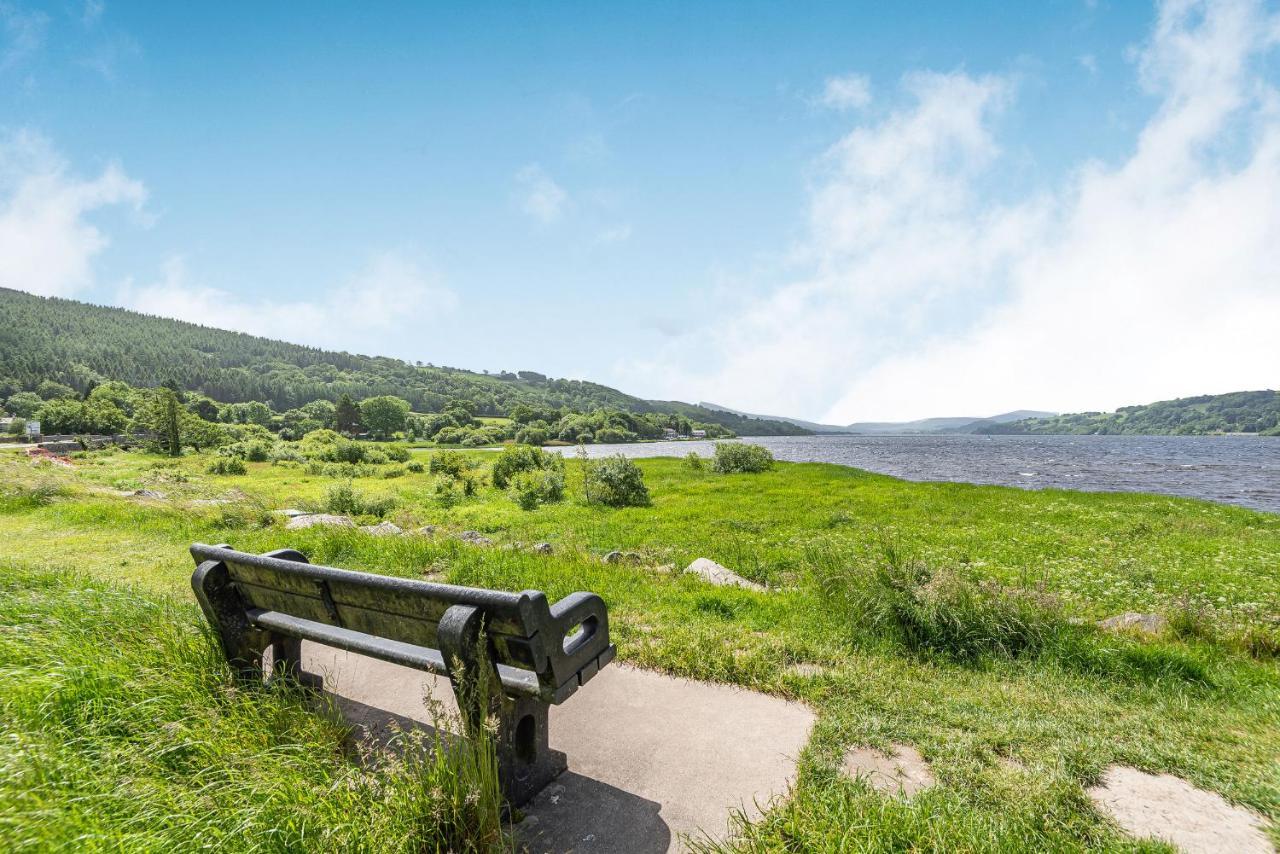 Waedog Bach * Llanfor